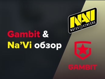 Na'Vi и Gambit